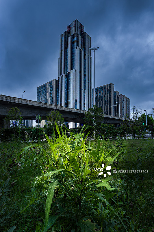合肥财富中心大楼图片素材
