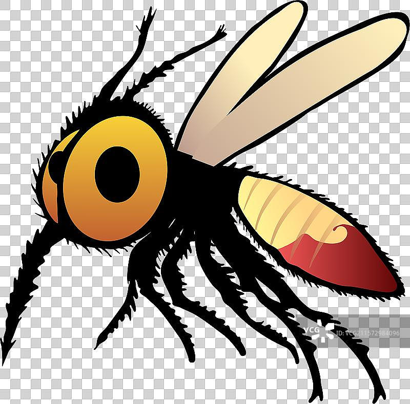 大眼睛的可怕卡通蚊子，身上有讨厌的毛发图片素材