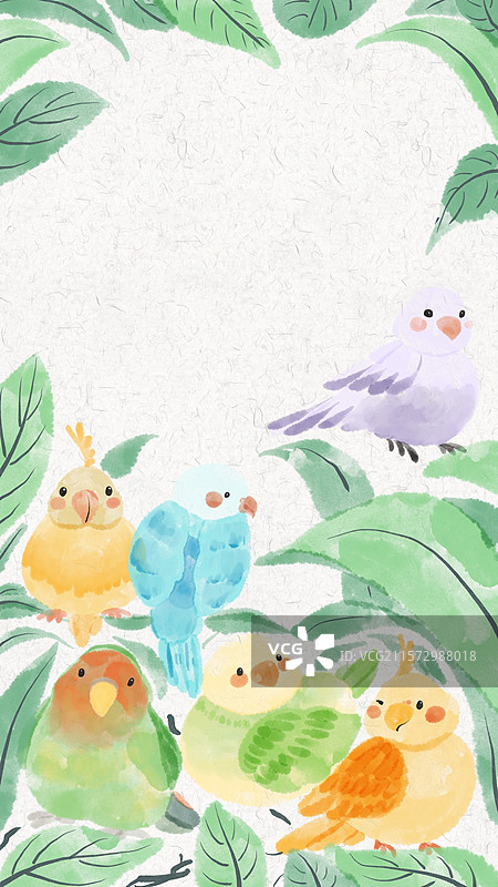 清新水彩风动物插画壁纸-玄凤鹦鹉图片素材