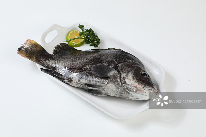 包工鱼图片素材