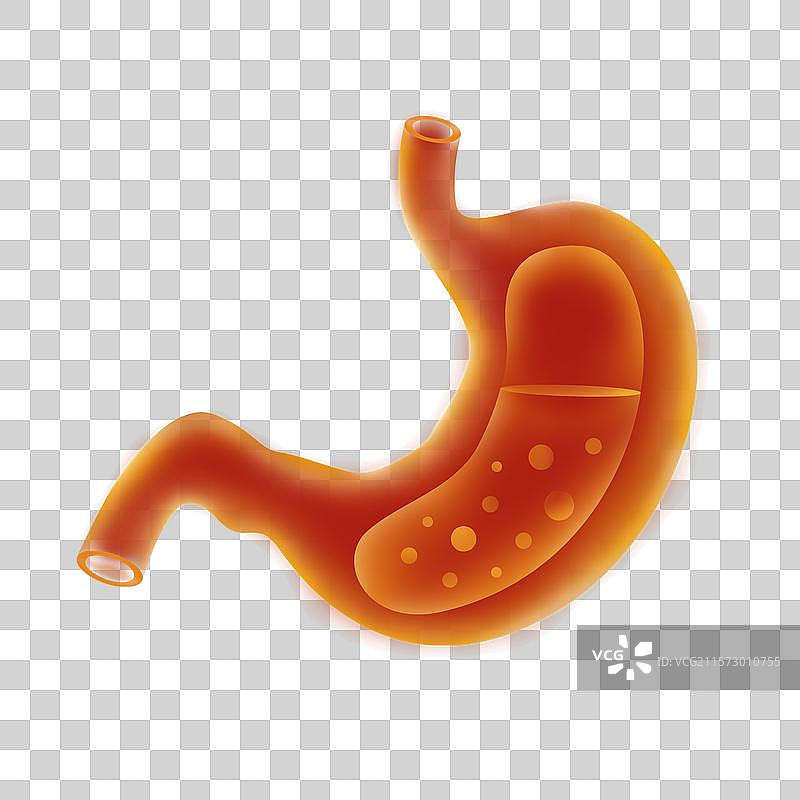 国际护胃日医疗健康保健胃炎医学高峰论坛图片素材
