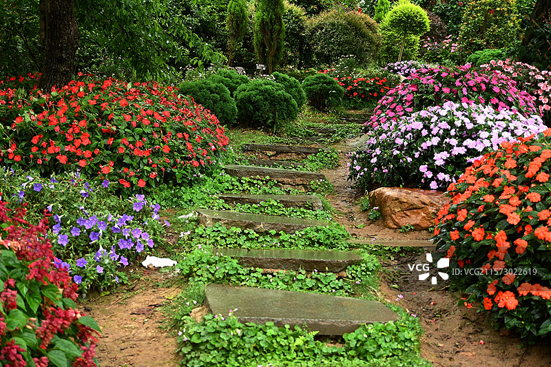 公园花卉花坛图片素材