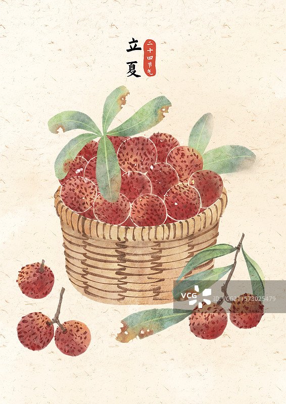 立夏杨梅插画图片素材