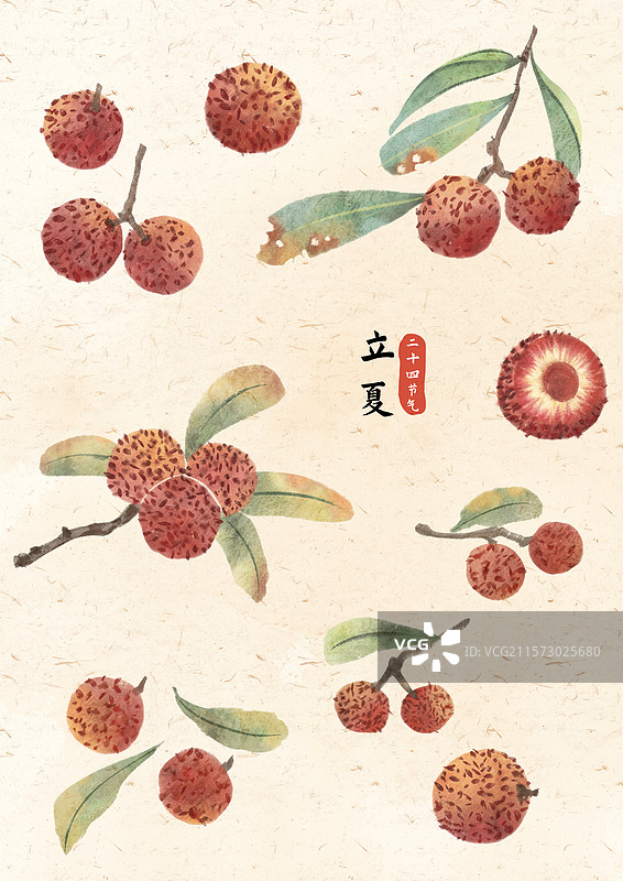 立夏杨梅插画图片素材