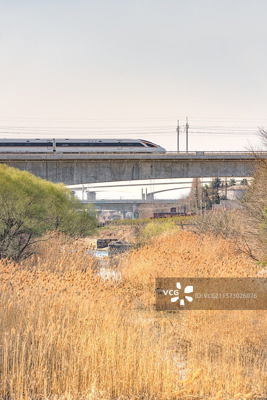 连镇高铁经过芒稻河特大桥图片素材