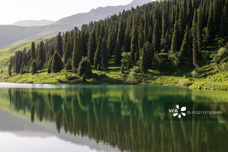 新疆唐布拉风景区 仙女湖倒映高山 森林图片素材