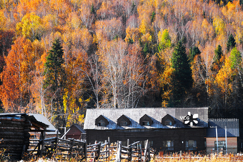 新疆阿勒泰秋季静谧的乡村图片素材