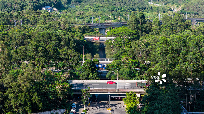 深圳宝安区罗田森林公园图片素材