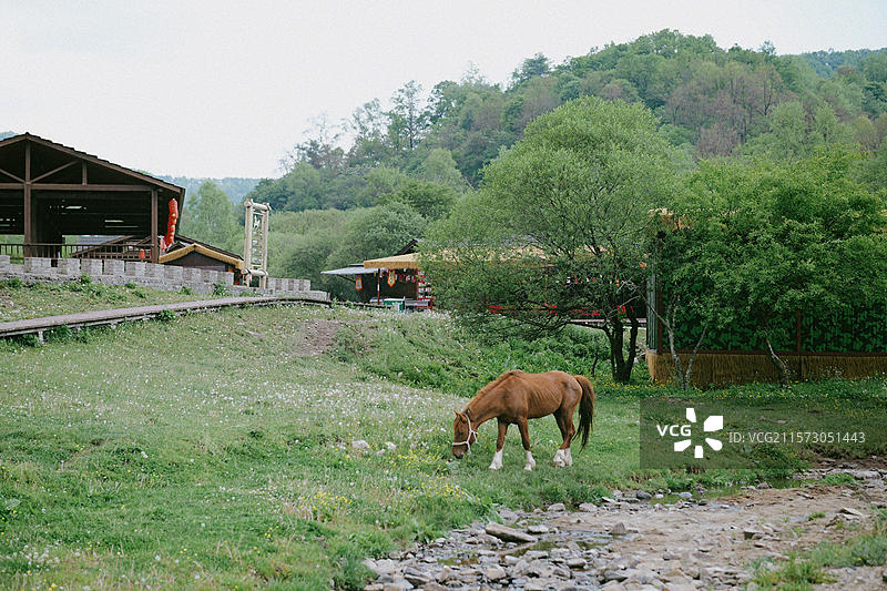 宝鸡大水川草原图片素材