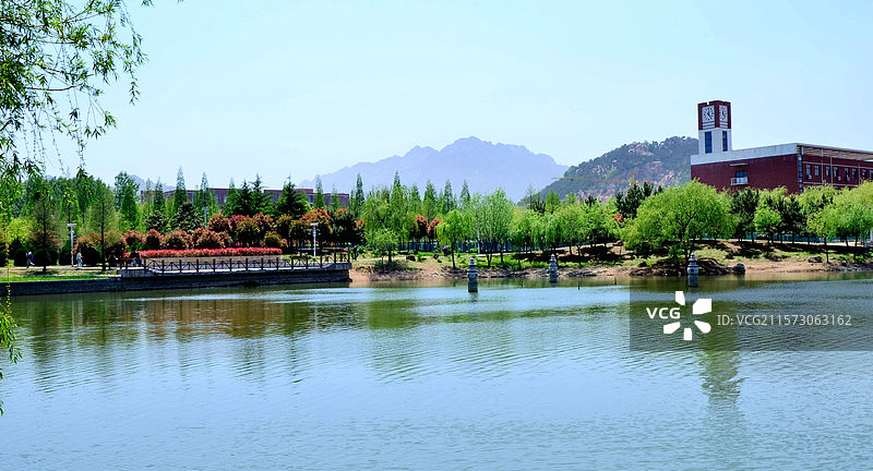 山东科技大学的花花草草图片素材