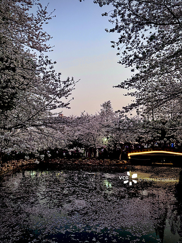 落英缤纷图片素材