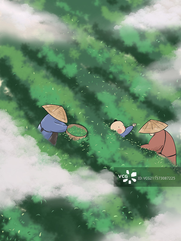 谷雨采茶图片素材