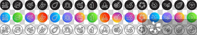 鱼群、有机测试和沙拉线条图标图片素材