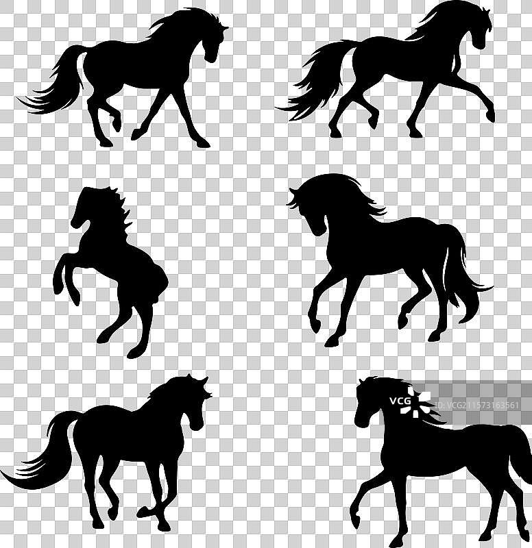 黑马剪影与白色背景的组合图片素材