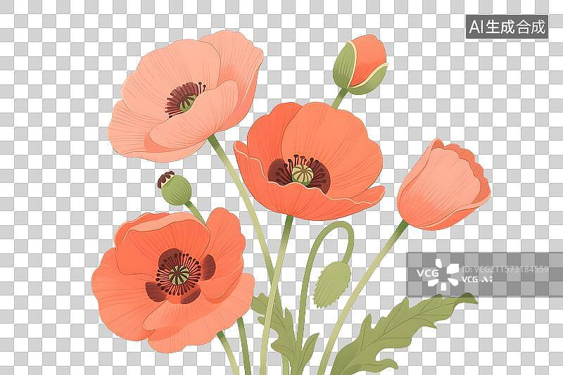 【AI数字艺术】虞美人插画免扣元素图片素材