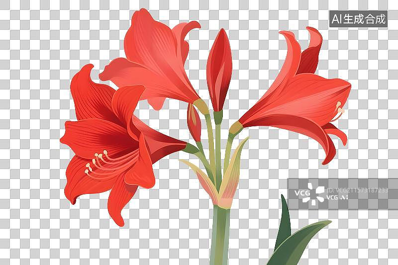 【AI数字艺术】朱顶红插画免扣元素图片素材