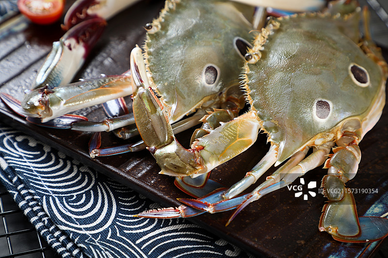 三木蟹图片素材