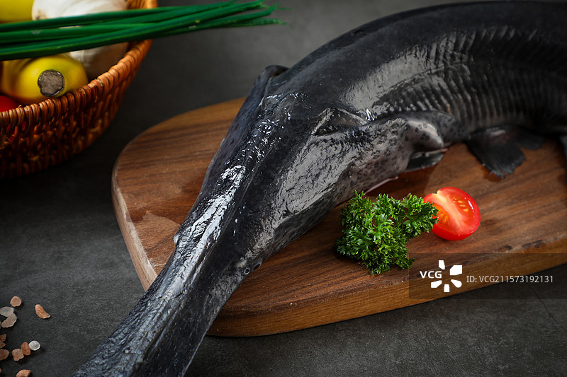 鸭嘴鱼图片素材