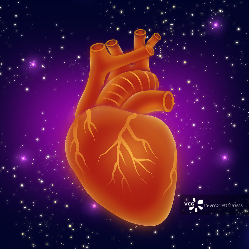 世界心脏日冠心病人体心脏医学高峰论坛图片素材