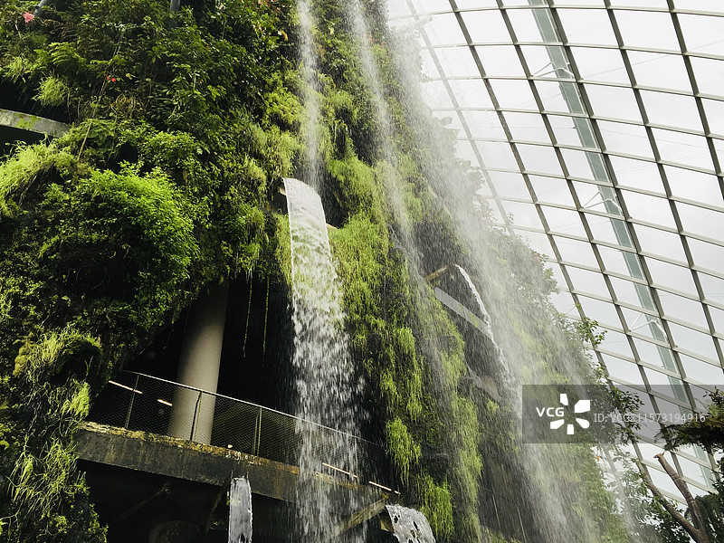 新加坡滨海湾花园云雾林瀑布图片素材