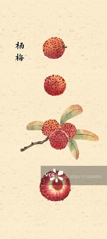 立夏杨梅插画图片素材