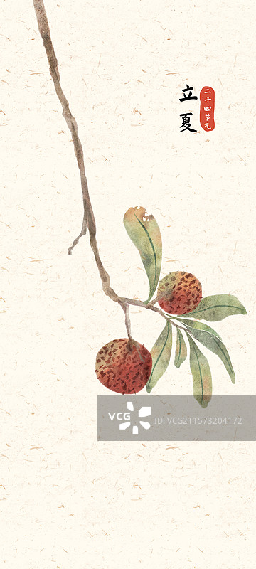 立夏杨梅插画图片素材
