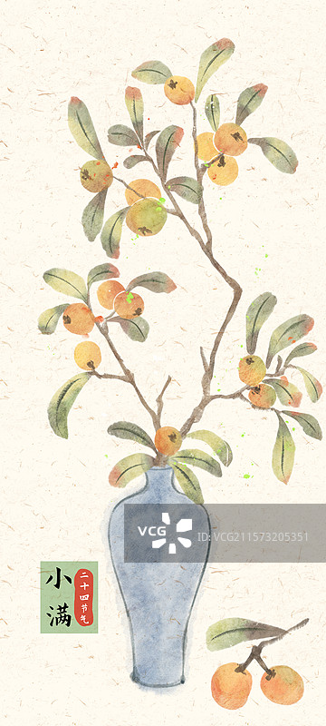 小满枇杷国风插画图片素材