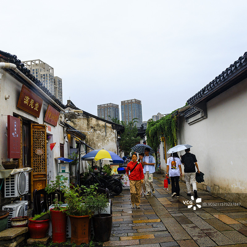 青果巷里的蒙德里安图片素材