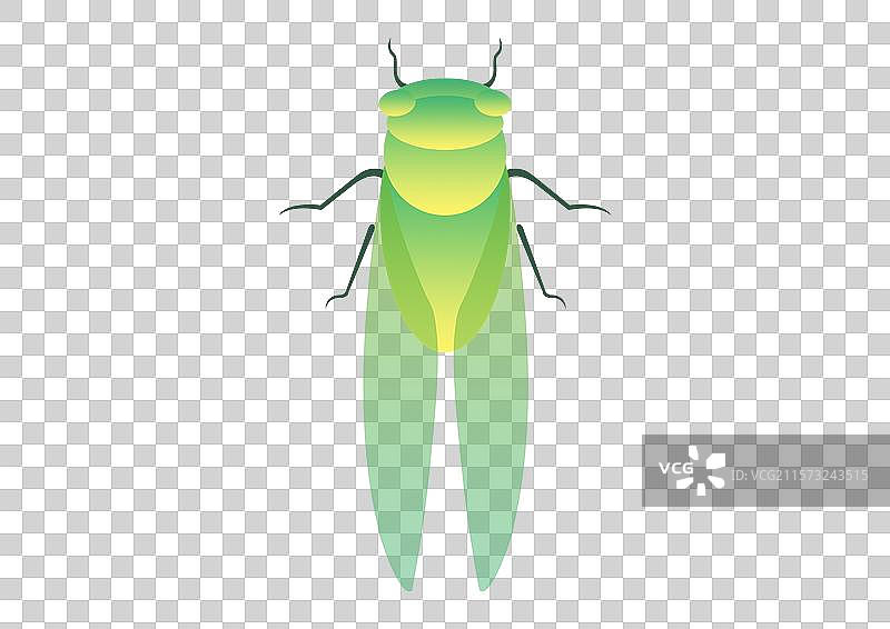 蝉扁平渐变弥散风插画元素图片素材