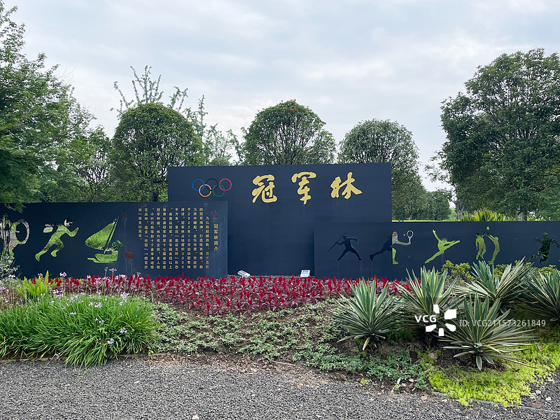 浙江金华赤山公园冠军林图片素材