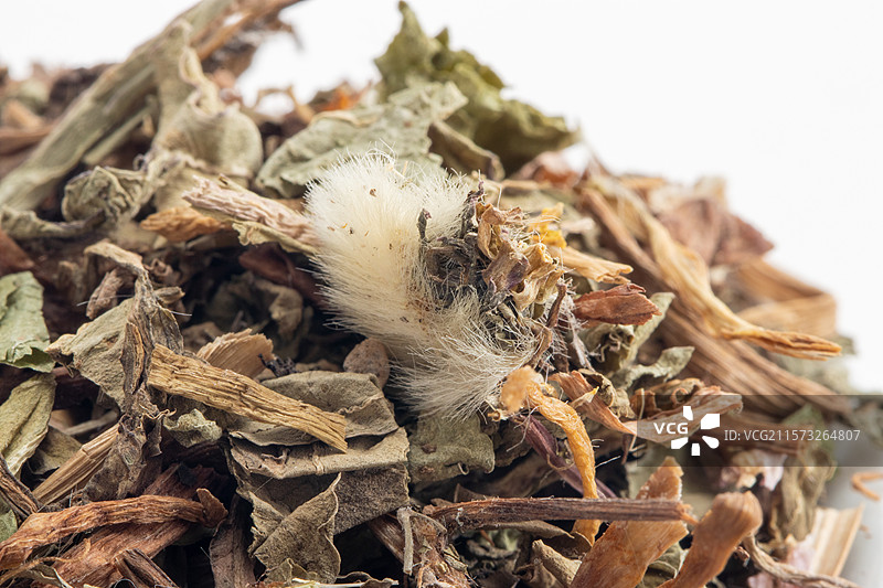 白色背景上的中草药蒲公英图片素材