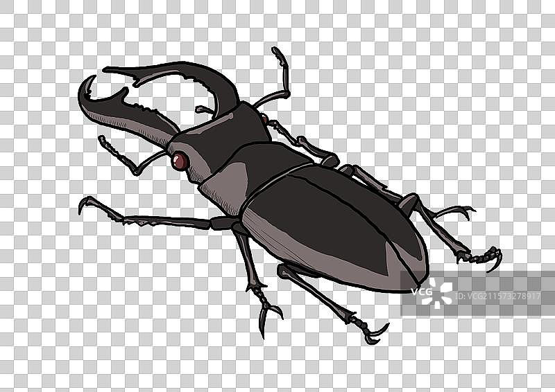 准备战斗的大甲虫卡通形象昆虫免抠元素图片素材