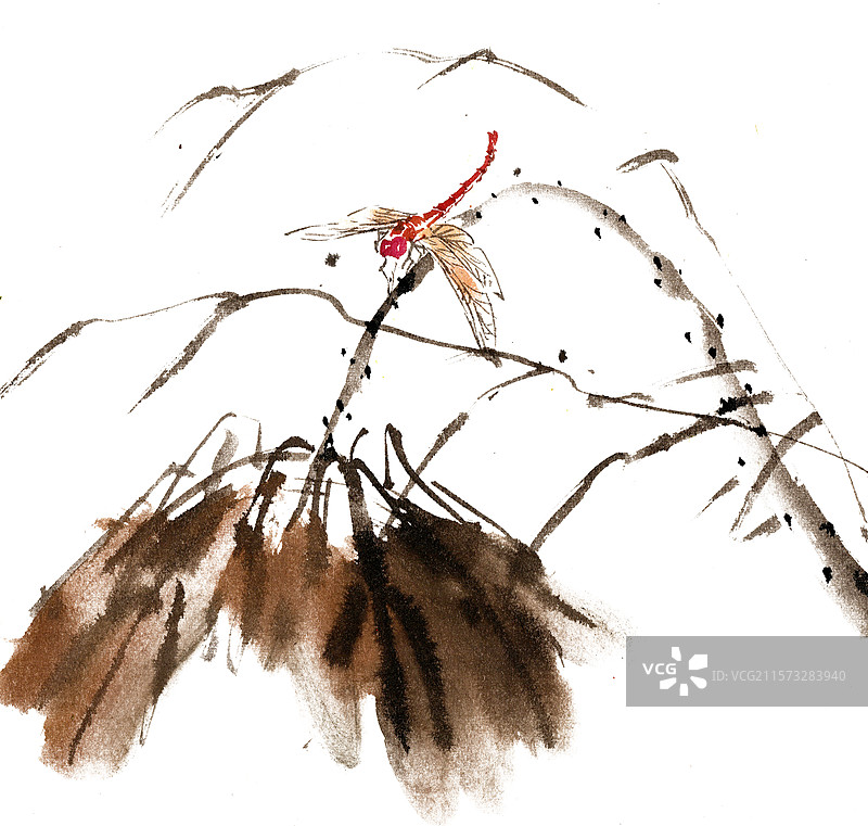 荷叶与蜻蜓图片素材