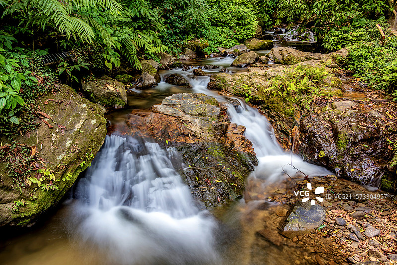 中国云南德宏瑞丽莫里热带雨林风景区自然风光图片素材