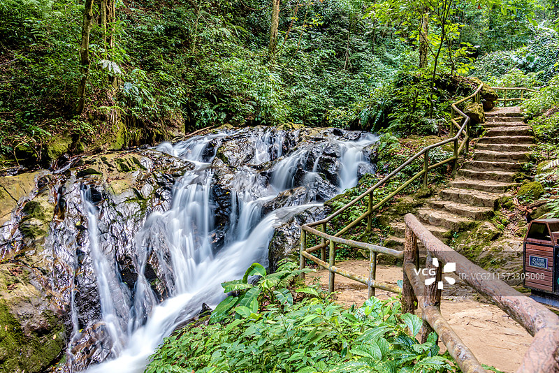 中国云南德宏瑞丽莫里热带雨林风景区自然风光图片素材