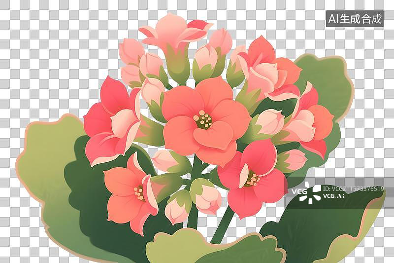 【AI数字艺术】长寿花插画免扣元素图片素材