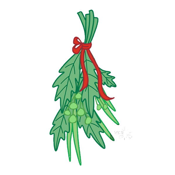 绑红丝带的绿叶植物艾草插画图片素材