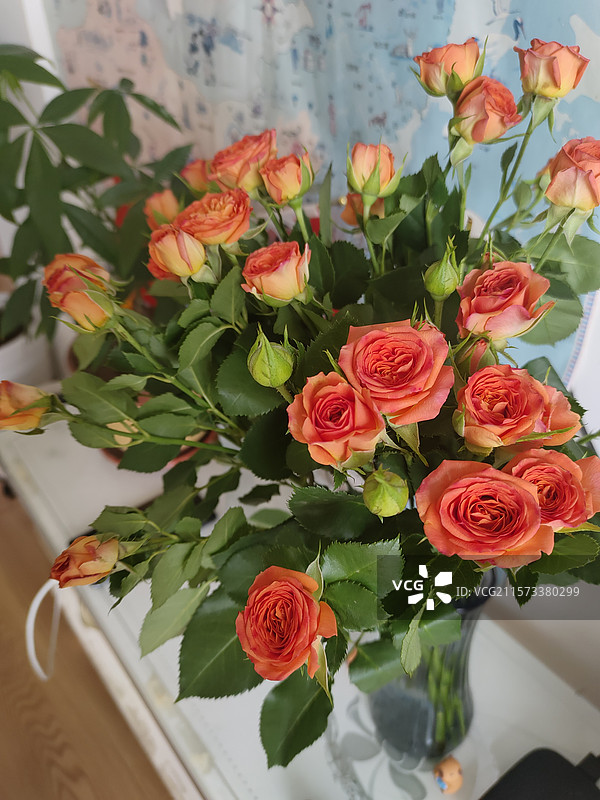 鲜花特写图片素材