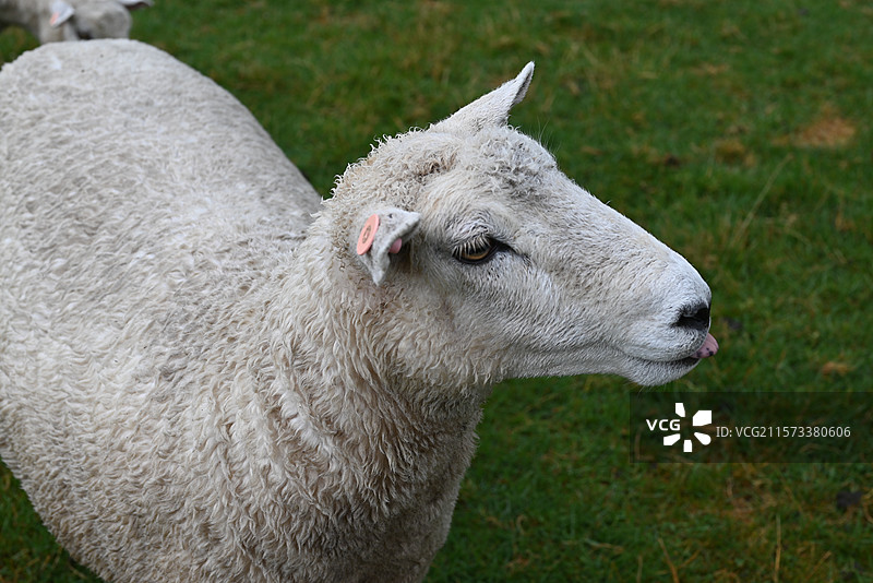 冰雪贴图图片素材