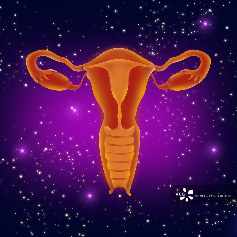 关注女性健康妇科子宫健康预防宫颈癌医学高峰论坛图片素材