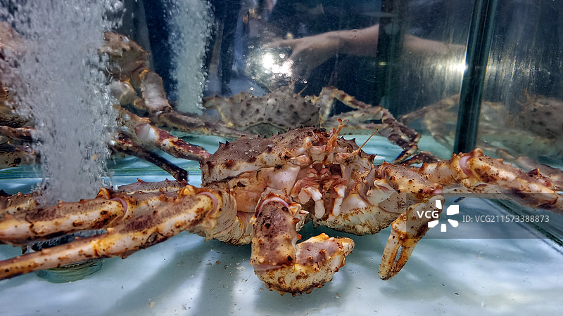 禹州胖东来大闸蟹图片素材