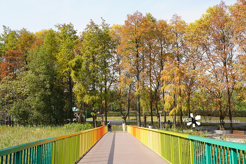 武汉东湖华侨城湿地公园秋天公园里空荡荡的人行天桥图片素材