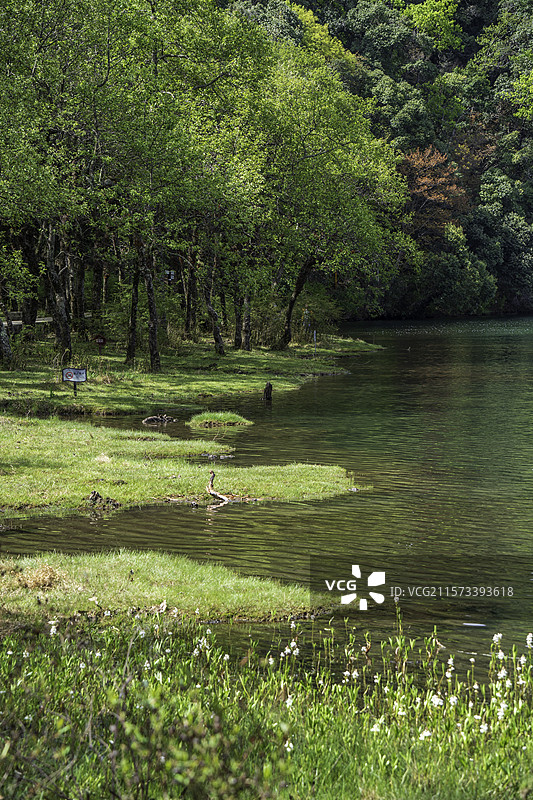 彝海风光图片素材