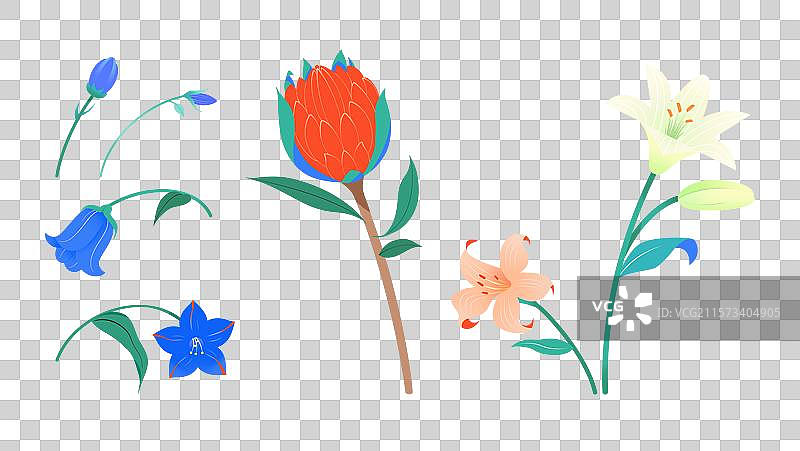鲜花花簇帝王花百合风铃草组合元素插画图片素材