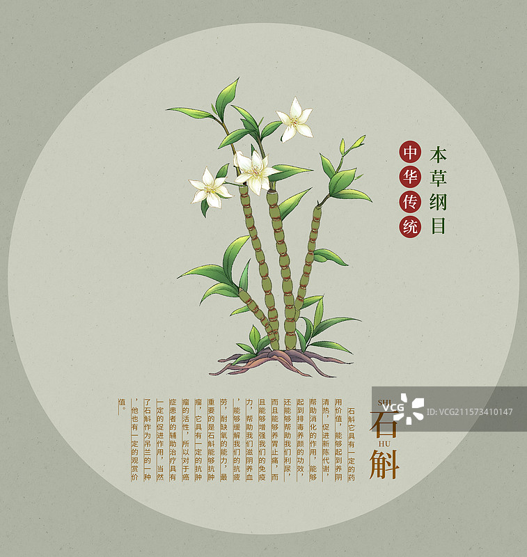 手绘水彩中药药材插画石斛图片素材