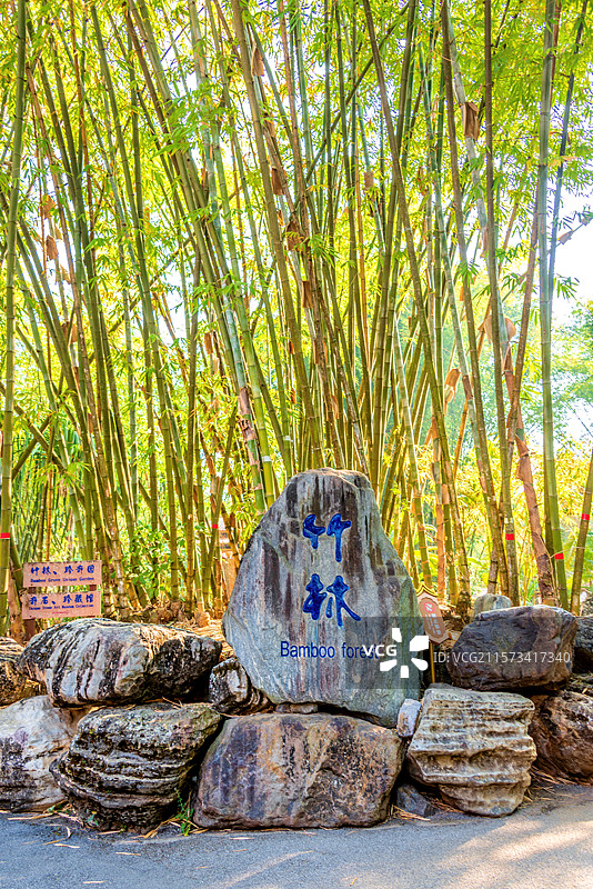 中国云南德宏芒市勐巴娜西珍奇园园林风光图片素材