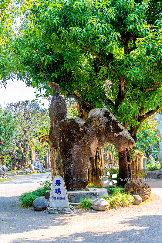 中国云南德宏芒市勐巴娜西珍奇园园林风光图片素材