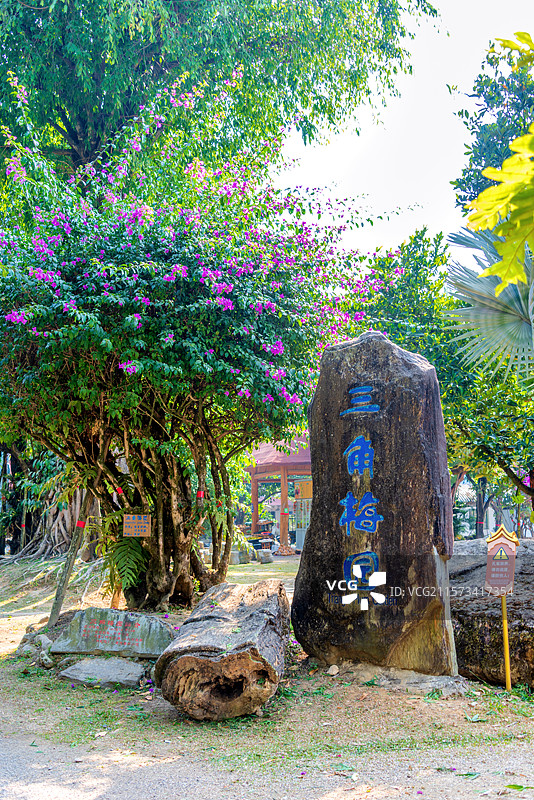 中国云南德宏芒市勐巴娜西珍奇园园林风光图片素材