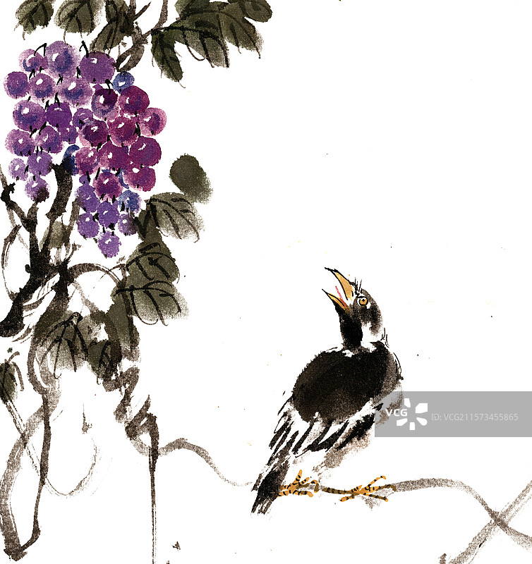 葡萄与小鸟图片素材
