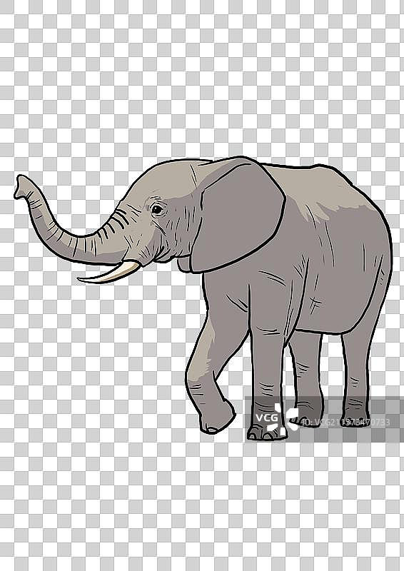 一只往前走的大象卡通写实形象免抠元素图片素材